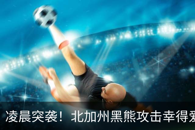 凌晨突袭！北加州黑熊攻击幸得爱犬舍命相救